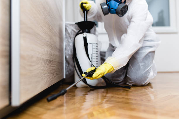 Pest Prevention Services in Natchitoches, LA