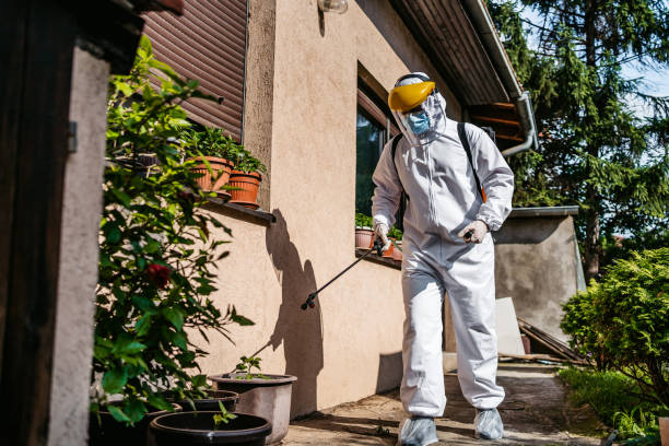 Best Pest Removal Services  in Natchitoches, LA