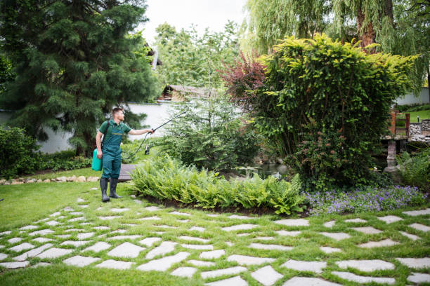 Best Pest Prevention Services  in Natchitoches, LA